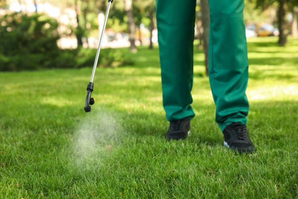 Best Pest Removal Services  in Watertown, SD
