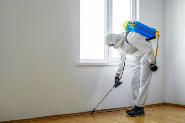 Professional Pest Control in Watertown, SD