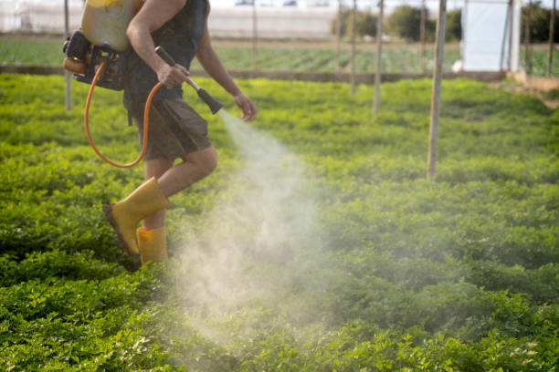 Best Affordable Pest Control Services  in Watertown, SD