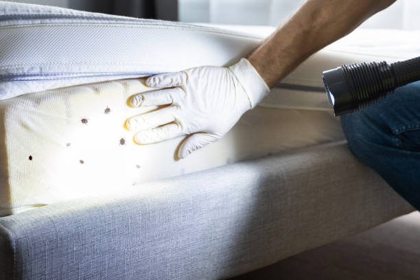 Best Best Pest Control Companies  in Watertown, SD