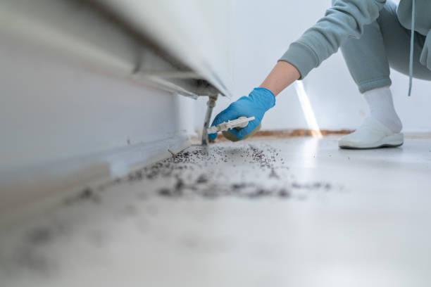 Best Flea Control Services  in Watertown, SD
