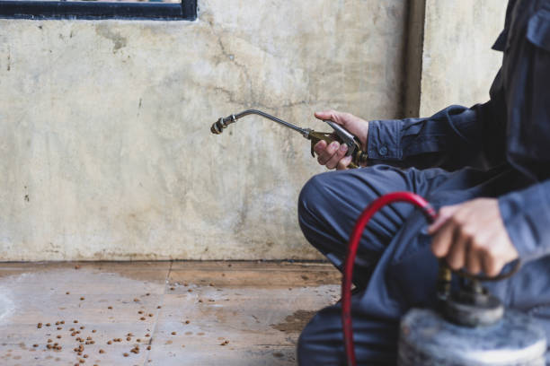 Best Residential Pest Control  in Watertown, SD