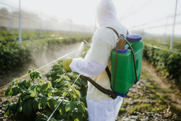 Pest Control for Restaurants in Watertown, SD